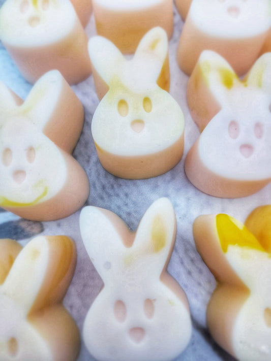 Rhubarb And Custard Bunny Shapes